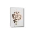 Picture of Lullaby of a Beige Flower _GroupedProduct_Rectangle_Portrait_Photography _GroupedProduct_Rectangle_Portrait_Canvas_
