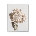 Picture of Lullaby of a Beige Flower _GroupedProduct_Rectangle_Portrait_Photography _GroupedProduct_Rectangle_Portrait_Canvas_