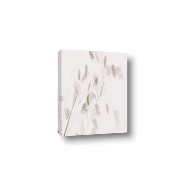 Picture of Ballet of Floral Shadows _GroupedProduct_Rectangle_Portrait_Photography _GroupedProduct_Rectangle_Portrait_Canvas_