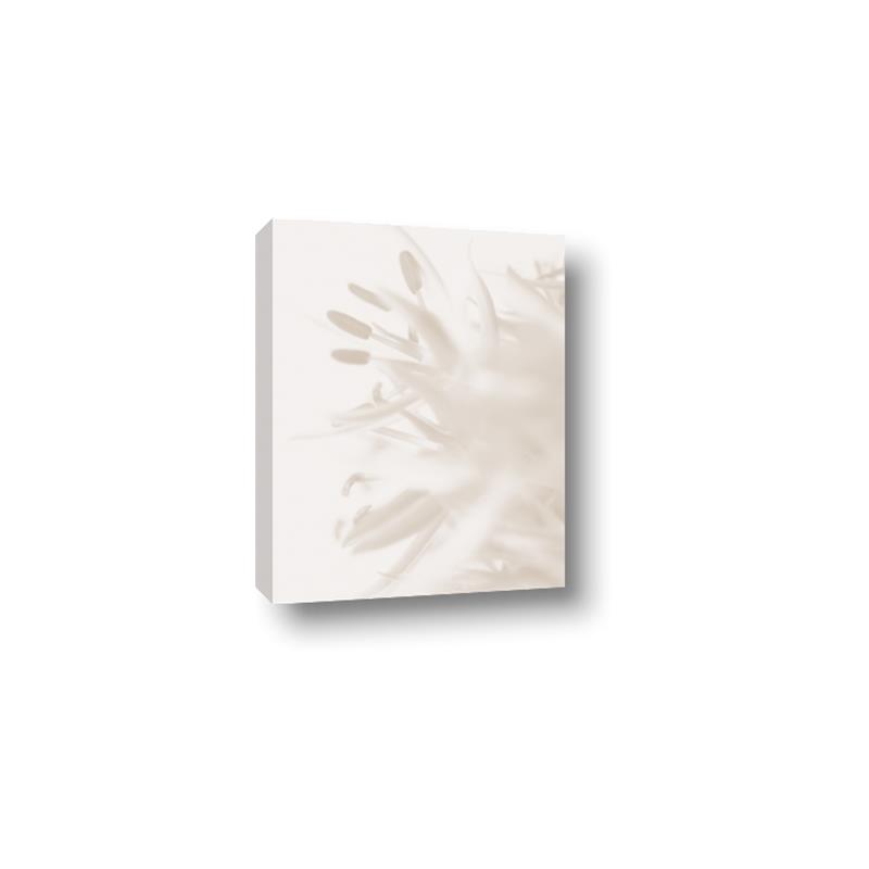 Picture of An Echo of Leaves _GroupedProduct_Rectangle_Portrait_Photography _GroupedProduct_Rectangle_Portrait_Canvas_