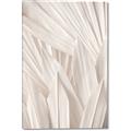 Picture of Beige Blossom Leaf Patterns _GroupedProduct_Rectangle_Portrait_Photography _GroupedProduct_Rectangle_Portrait_Canvas_