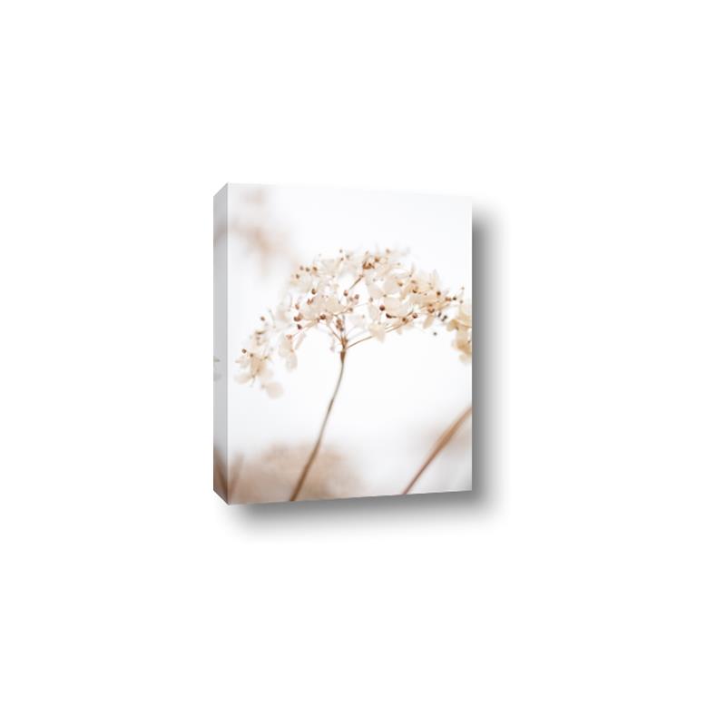 Picture of Desert Bloom Elegance _GroupedProduct_Rectangle_Portrait_Photography _GroupedProduct_Rectangle_Portrait_Canvas_