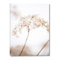 Picture of Desert Bloom Elegance _GroupedProduct_Rectangle_Portrait_Photography _GroupedProduct_Rectangle_Portrait_Canvas_