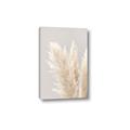 Picture of Creamy Petal Pampas I _GroupedProduct_Rectangle_Portrait_Photography _GroupedProduct_Rectangle_Portrait_Canvas_