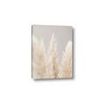 Picture of Creamy Petal Pampas II _GroupedProduct_Rectangle_Portrait_Photography _GroupedProduct_Rectangle_Portrait_Canvas_