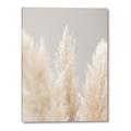 Picture of Creamy Petal Pampas II _GroupedProduct_Rectangle_Portrait_Photography _GroupedProduct_Rectangle_Portrait_Canvas_