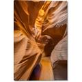 Picture of The Golden Passage _GroupedProduct_Rectangle_Portrait_Photography _GroupedProduct_Rectangle_Portrait_Canvas_