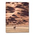 Picture of Tranquil Walk in the Valley _GroupedProduct_Rectangle_Portrait_Photography _GroupedProduct_Rectangle_Portrait_Canvas_
