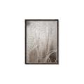 Picture of Elysian Grass _GroupedProduct_Rectangle_Portrait_Photography _GroupedProduct_Rectangle_Portrait_Canvas_Framed_