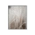 Picture of Elysian Grass _GroupedProduct_Rectangle_Portrait_Photography _GroupedProduct_Rectangle_Portrait_Canvas_Framed_
