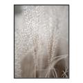 Picture of Elysian Grass _GroupedProduct_Rectangle_Portrait_Photography _GroupedProduct_Rectangle_Portrait_Canvas_Framed_