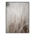 Picture of Elysian Grass _GroupedProduct_Rectangle_Portrait_Photography _GroupedProduct_Rectangle_Portrait_Canvas_Framed_