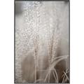 Picture of Elysian Grass _GroupedProduct_Rectangle_Portrait_Photography _GroupedProduct_Rectangle_Portrait_Canvas_Framed_