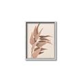 Picture of Dried Eucalyptus Blossom _GroupedProduct_Rectangle_Portrait_Photography _GroupedProduct_Rectangle_Portrait_Canvas_Framed_
