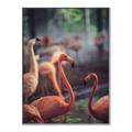Picture of Flamingo _GroupedProduct_Rectangle_Portrait_Photography _GroupedProduct_Rectangle_Portrait_Canvas_Framed_