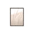 Picture of Rhapsody of Grass Blades _GroupedProduct_Rectangle_Portrait_Photography _GroupedProduct_Rectangle_Portrait_Canvas_Framed_
