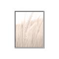 Picture of Rhapsody of Grass Blades _GroupedProduct_Rectangle_Portrait_Photography _GroupedProduct_Rectangle_Portrait_Canvas_Framed_