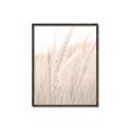 Picture of Rhapsody of Grass Blades _GroupedProduct_Rectangle_Portrait_Photography _GroupedProduct_Rectangle_Portrait_Canvas_Framed_