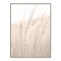 Picture of Rhapsody of Grass Blades _GroupedProduct_Rectangle_Portrait_Photography _GroupedProduct_Rectangle_Portrait_Canvas_Framed_