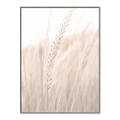 Picture of Rhapsody of Grass Blades _GroupedProduct_Rectangle_Portrait_Photography _GroupedProduct_Rectangle_Portrait_Canvas_Framed_