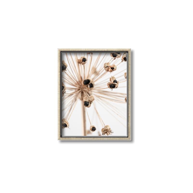 Picture of Ethereal Flower _GroupedProduct_Rectangle_Portrait_Photography _GroupedProduct_Rectangle_Portrait_Canvas_Framed_