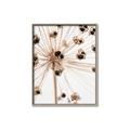 Picture of Ethereal Flower _GroupedProduct_Rectangle_Portrait_Photography _GroupedProduct_Rectangle_Portrait_Canvas_Framed_
