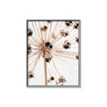 Picture of Ethereal Flower _GroupedProduct_Rectangle_Portrait_Photography _GroupedProduct_Rectangle_Portrait_Canvas_Framed_