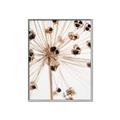 Picture of Ethereal Flower _GroupedProduct_Rectangle_Portrait_Photography _GroupedProduct_Rectangle_Portrait_Canvas_Framed_
