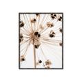 Picture of Ethereal Flower _GroupedProduct_Rectangle_Portrait_Photography _GroupedProduct_Rectangle_Portrait_Canvas_Framed_