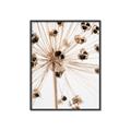 Picture of Ethereal Flower _GroupedProduct_Rectangle_Portrait_Photography _GroupedProduct_Rectangle_Portrait_Canvas_Framed_