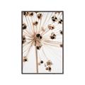 Picture of Ethereal Flower _GroupedProduct_Rectangle_Portrait_Photography _GroupedProduct_Rectangle_Portrait_Canvas_Framed_