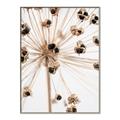 Picture of Ethereal Flower _GroupedProduct_Rectangle_Portrait_Photography _GroupedProduct_Rectangle_Portrait_Canvas_Framed_