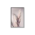 Picture of Enchanted Pampas Grass _GroupedProduct_Rectangle_Portrait_Photography _GroupedProduct_Rectangle_Portrait_Canvas_Framed_