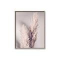 Picture of Enchanted Pampas Grass _GroupedProduct_Rectangle_Portrait_Photography _GroupedProduct_Rectangle_Portrait_Canvas_Framed_