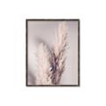 Picture of Enchanted Pampas Grass _GroupedProduct_Rectangle_Portrait_Photography _GroupedProduct_Rectangle_Portrait_Canvas_Framed_