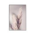 Picture of Enchanted Pampas Grass _GroupedProduct_Rectangle_Portrait_Photography _GroupedProduct_Rectangle_Portrait_Canvas_Framed_