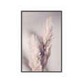 Picture of Enchanted Pampas Grass _GroupedProduct_Rectangle_Portrait_Photography _GroupedProduct_Rectangle_Portrait_Canvas_Framed_