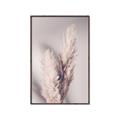 Picture of Enchanted Pampas Grass _GroupedProduct_Rectangle_Portrait_Photography _GroupedProduct_Rectangle_Portrait_Canvas_Framed_