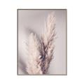 Picture of Enchanted Pampas Grass _GroupedProduct_Rectangle_Portrait_Photography _GroupedProduct_Rectangle_Portrait_Canvas_Framed_