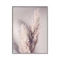 Picture of Enchanted Pampas Grass _GroupedProduct_Rectangle_Portrait_Photography _GroupedProduct_Rectangle_Portrait_Canvas_Framed_