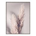 Picture of Enchanted Pampas Grass _GroupedProduct_Rectangle_Portrait_Photography _GroupedProduct_Rectangle_Portrait_Canvas_Framed_