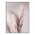 Picture of Enchanted Pampas Grass _GroupedProduct_Rectangle_Portrait_Photography _GroupedProduct_Rectangle_Portrait_Canvas_Framed_