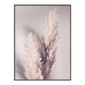 Picture of Enchanted Pampas Grass _GroupedProduct_Rectangle_Portrait_Photography _GroupedProduct_Rectangle_Portrait_Canvas_Framed_