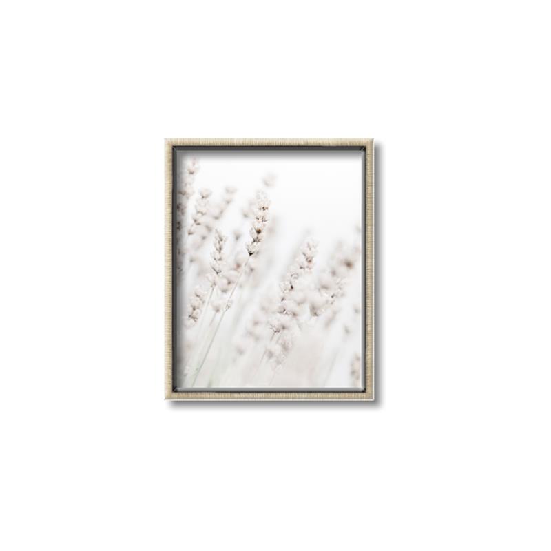 Picture of Grass straws _GroupedProduct_Rectangle_Portrait_Photography _GroupedProduct_Rectangle_Portrait_Canvas_Framed_