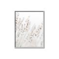 Picture of Grass straws _GroupedProduct_Rectangle_Portrait_Photography _GroupedProduct_Rectangle_Portrait_Canvas_Framed_