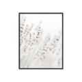 Picture of Grass straws _GroupedProduct_Rectangle_Portrait_Photography _GroupedProduct_Rectangle_Portrait_Canvas_Framed_