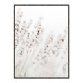Picture of Grass straws _GroupedProduct_Rectangle_Portrait_Photography _GroupedProduct_Rectangle_Portrait_Canvas_Framed_