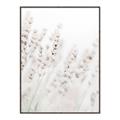 Picture of Grass straws _GroupedProduct_Rectangle_Portrait_Photography _GroupedProduct_Rectangle_Portrait_Canvas_Framed_