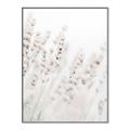 Picture of Grass straws _GroupedProduct_Rectangle_Portrait_Photography _GroupedProduct_Rectangle_Portrait_Canvas_Framed_
