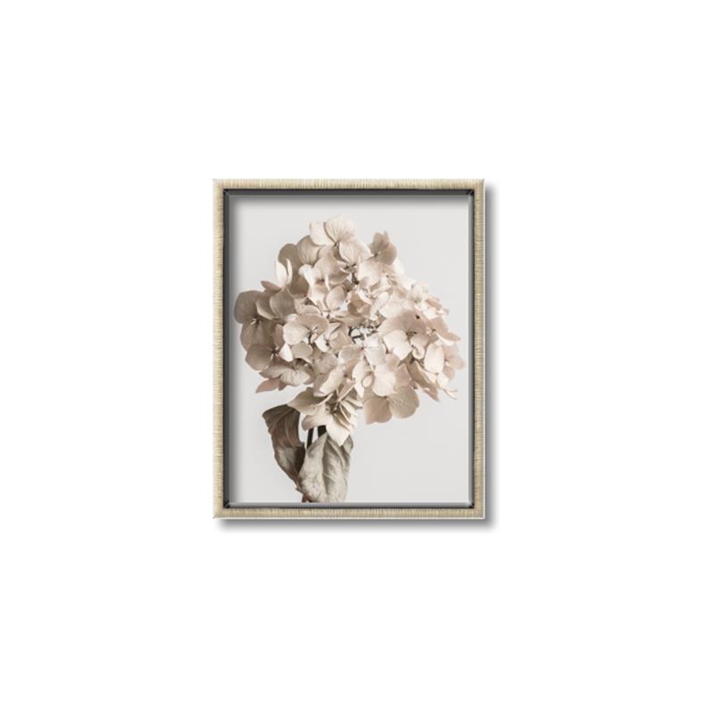 Picture of Lullaby of a Beige Flower _GroupedProduct_Rectangle_Portrait_Photography _GroupedProduct_Rectangle_Portrait_Canvas_Framed_